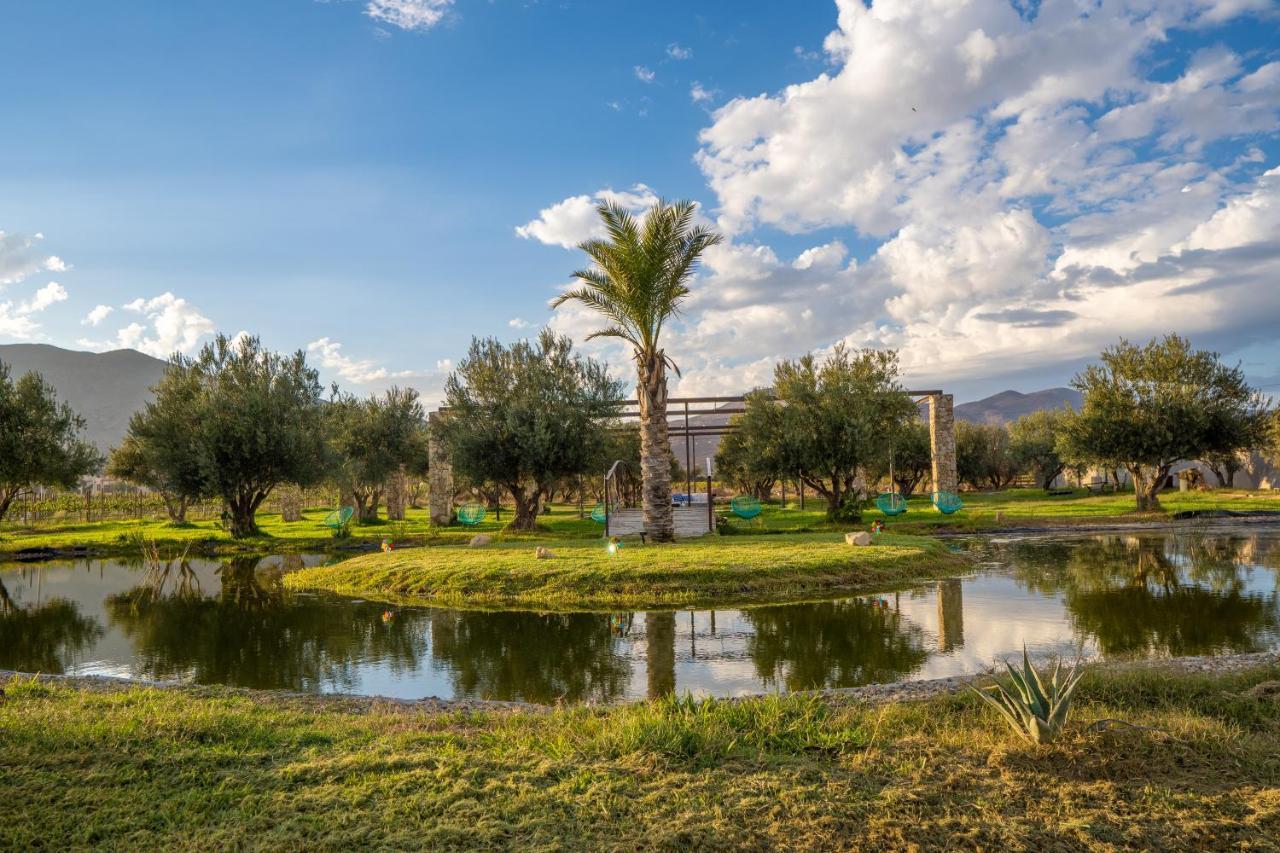 Suenos Resort El Porvenir Dış mekan fotoğraf