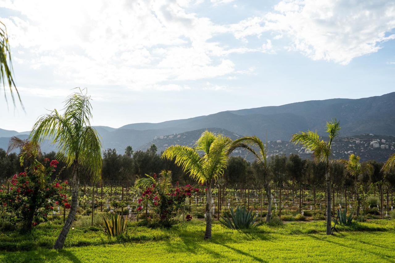 Suenos Resort El Porvenir Dış mekan fotoğraf